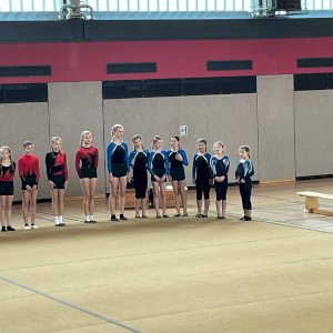 Turnerinnen zeigen ihr Können bei  Kreismeisterschaften