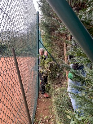 Frühjahrsputz auf der Tennisanlage