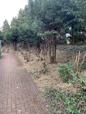 Frühjahrsputz auf der Tennisanlage